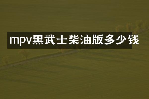 mpv黑武士柴油版多少钱
