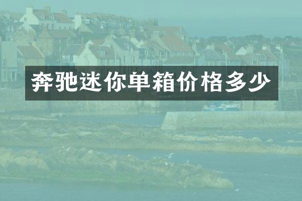 奔驰迷你单箱价格多少