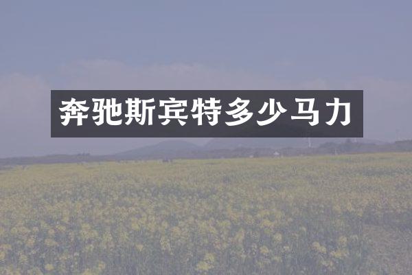 奔驰斯宾特多少马力
