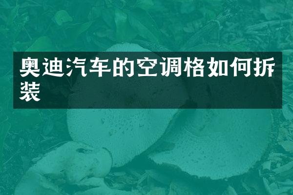 奥迪汽车的空调格如何拆装