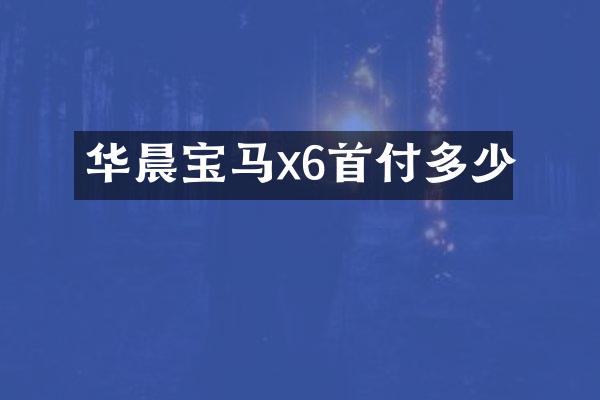 华晨宝马x6首付多少