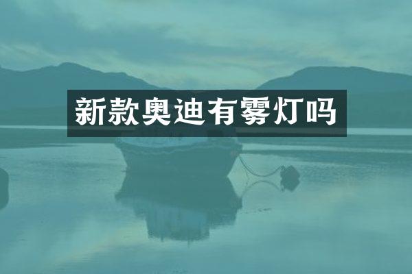 新款奥迪有雾灯吗