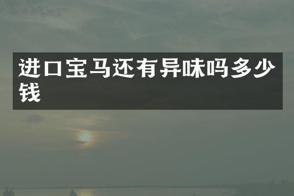 进口宝马还有异味吗多少钱