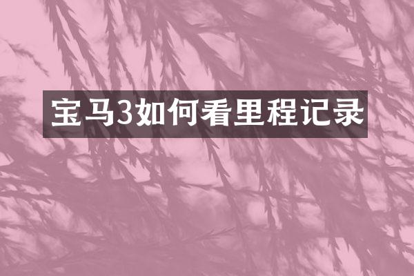 宝马3如何看里程记录