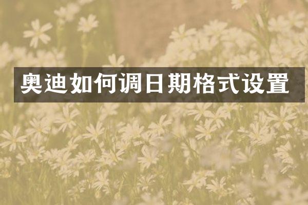 奥迪如何调日期格式设置