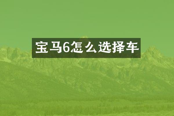 宝马6怎么选择车