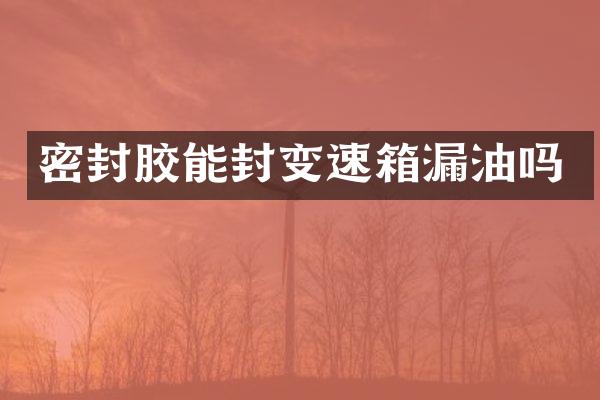密封胶能封变速箱漏油吗