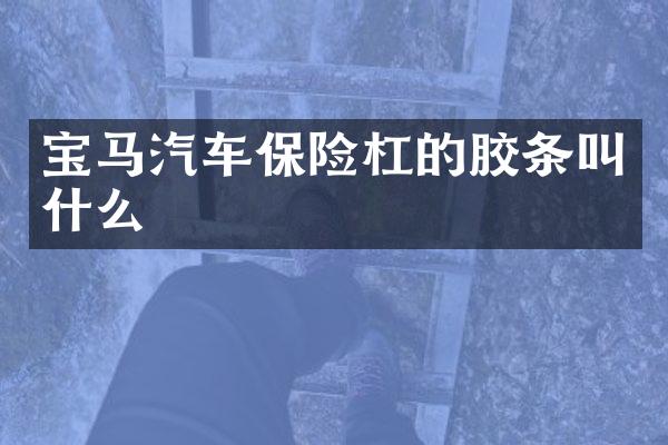 宝马汽车保险杠的胶条叫什么