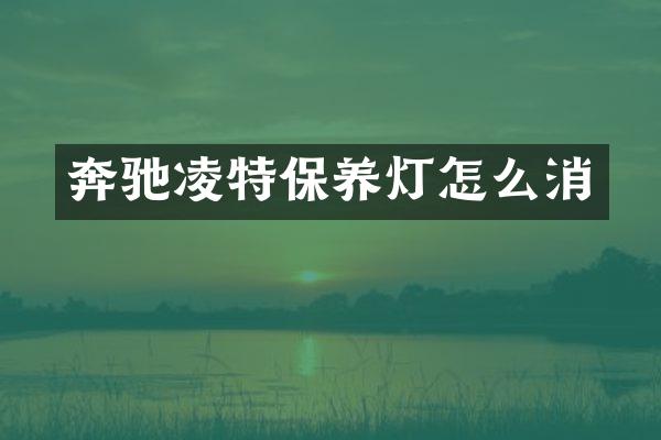 奔驰凌特保养灯怎么消