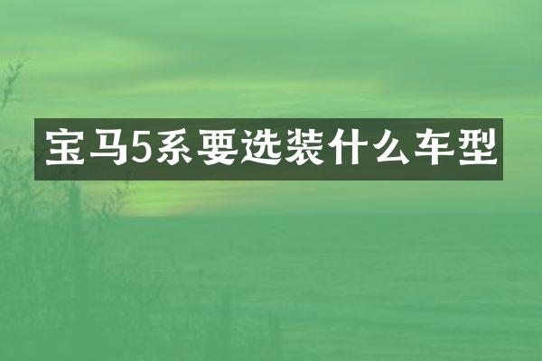 宝马5系要选装什么车型