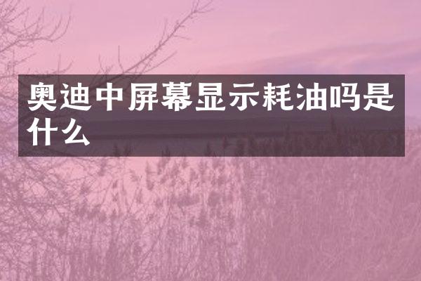奥迪中屏幕显示耗油吗是什么