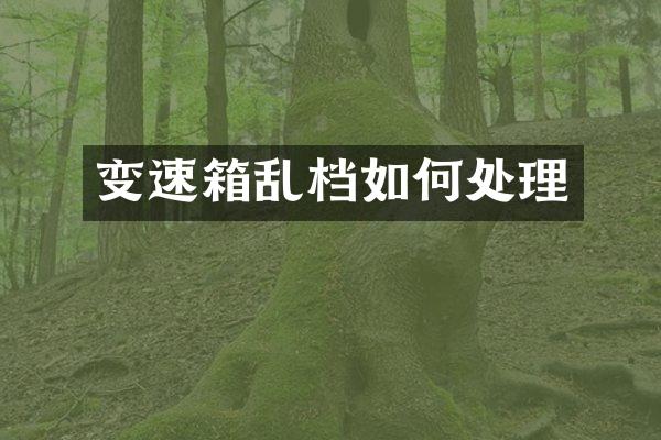 变速箱乱档如何处理