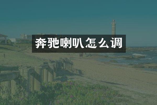 奔驰喇叭怎么调