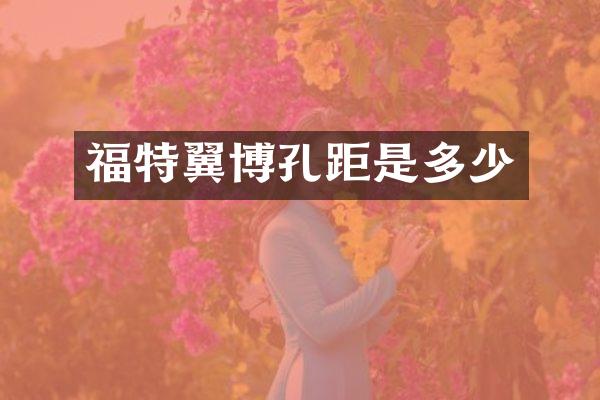 福特翼博孔距是多少