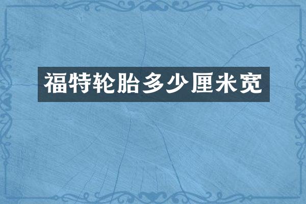 福特轮胎多少厘米宽