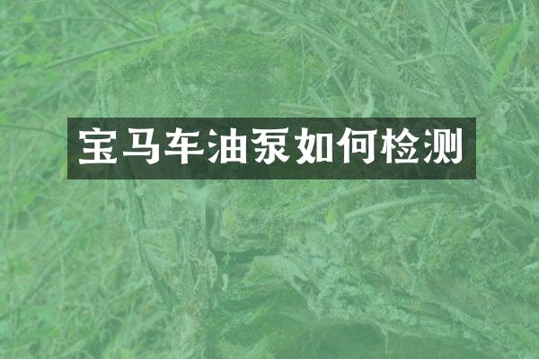 宝马车油泵如何检测