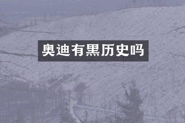 奥迪有黑历史吗