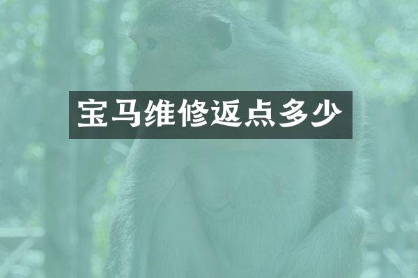 宝马维修返点多少