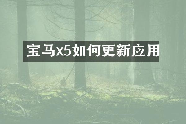 宝马x5如何更新应用