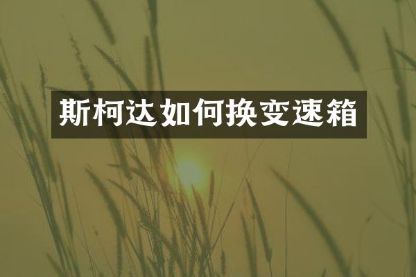 斯柯达如何换变速箱