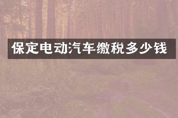 保定电动汽车缴税多少钱