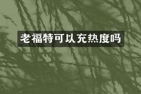老福特可以充热度吗