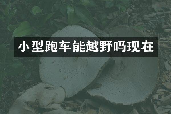 小型跑车能越野吗现在