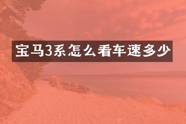 宝马3系怎么看车速多少