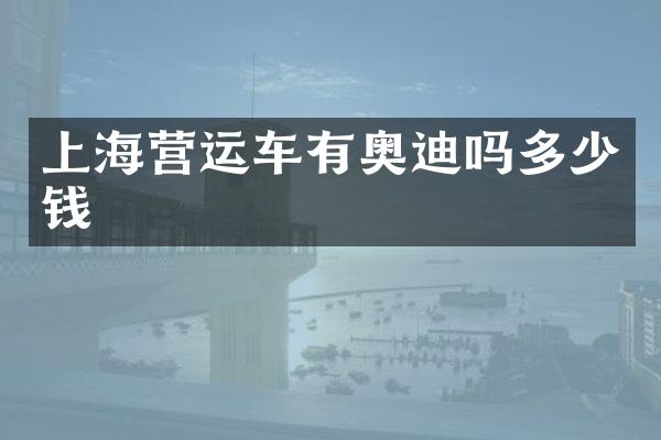 上海营运车有奥迪吗多少钱