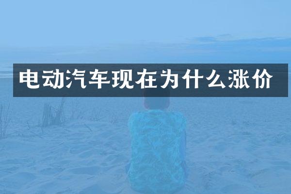 电动汽车现在为什么涨价