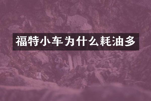 福特小车为什么耗油多