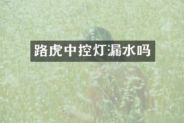路虎中控灯漏水吗