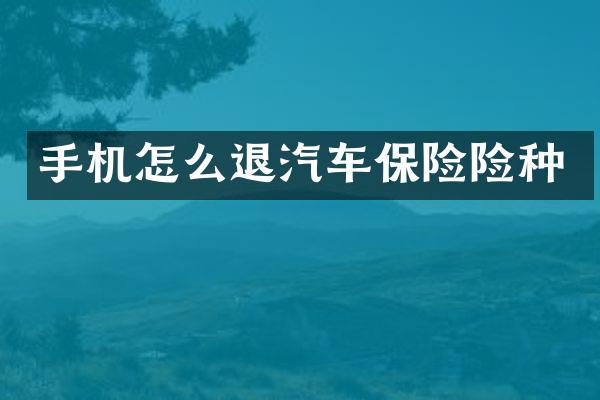 手机怎么退汽车保险险种