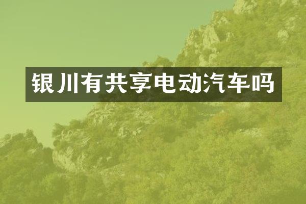 银川有共享电动汽车吗