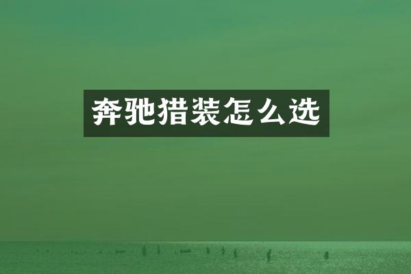 奔驰猎装怎么选