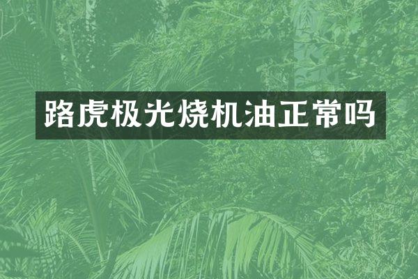 路虎极光烧机油正常吗