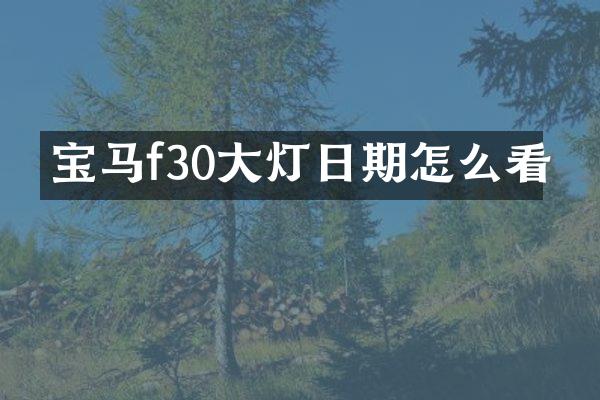 宝马f30大灯日期怎么看