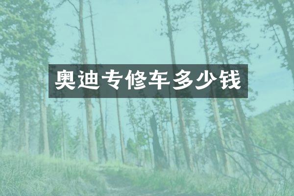 奥迪专修车多少钱