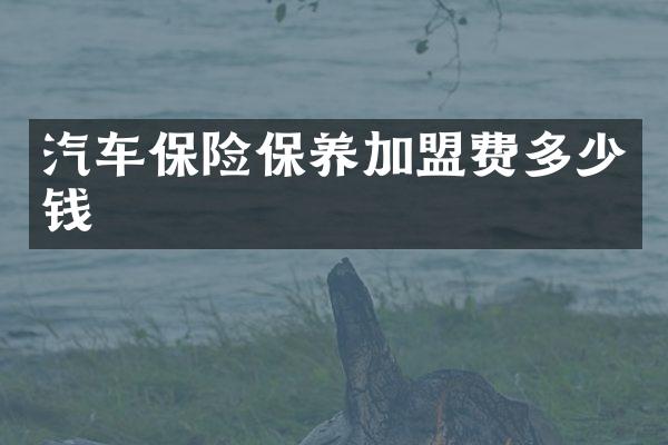 汽车保险保养加盟费多少钱