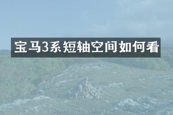 宝马3系短轴空间如何看