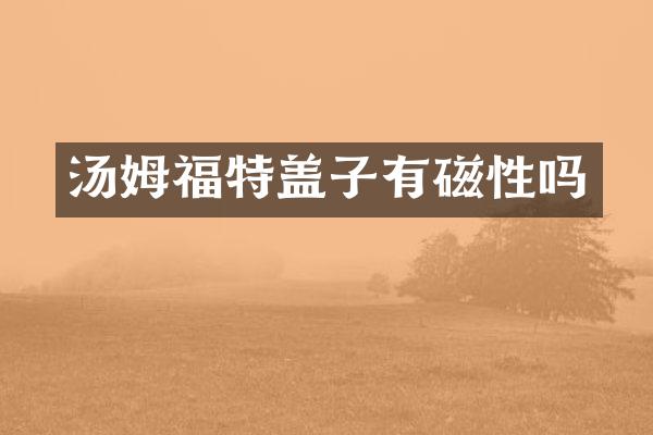 汤姆福特盖子有磁性吗