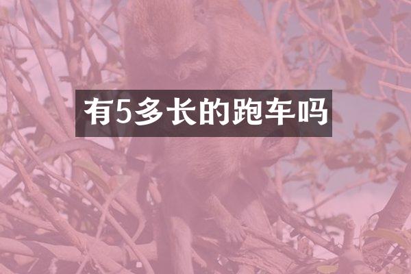 有5多长的跑车吗