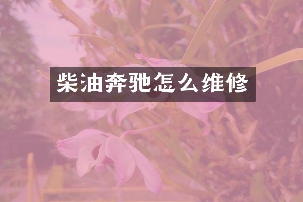 柴油奔驰怎么维修