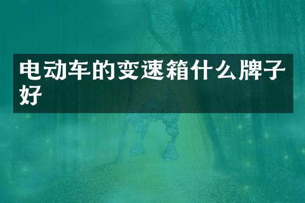 电动车的变速箱什么牌子好