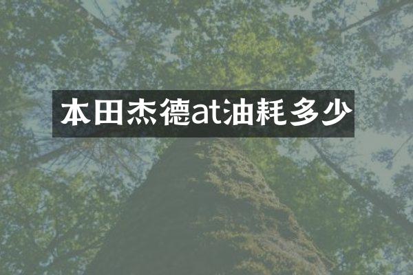本田杰德at油耗多少