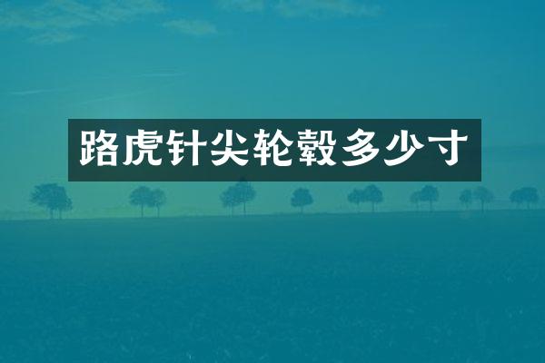 路虎针尖轮毂多少寸