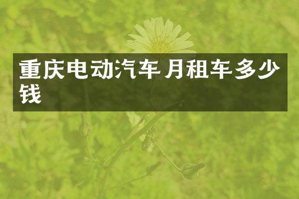 重庆电动汽车月租车多少钱