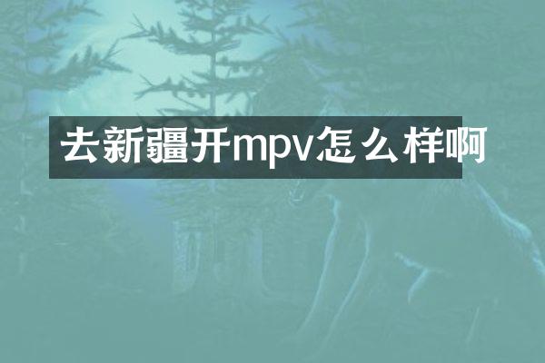 去新疆开mpv怎么样啊