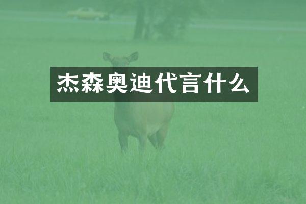 杰森奥迪代言什么