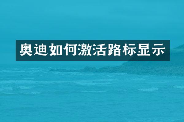 奥迪如何激活路标显示